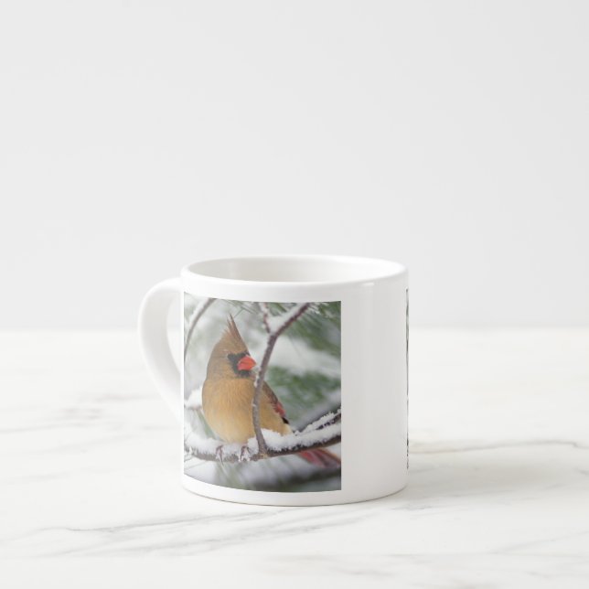Kvinnlig nordlig kardinal i snöig tall, espressomugg (Framsida vänster)