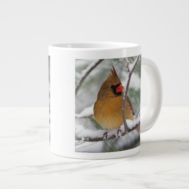 Kvinnlig nordlig kardinal i snöig tall, jumbo mugg (Framsida höger)