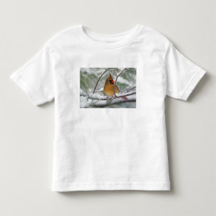 Kvinnlig nordlig kardinal i snöig tall, t shirt