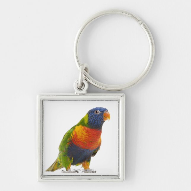 Kvinnlig regnbåge Lorikeet - Trichoglossus Fyrkantig Silverfärgad Nyckelring (Framsidan)