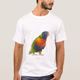 Kvinnlig regnbåge Lorikeet - Trichoglossus T-shirt