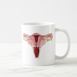 Kvinnlig reproduktiv systemmugg kaffemugg
