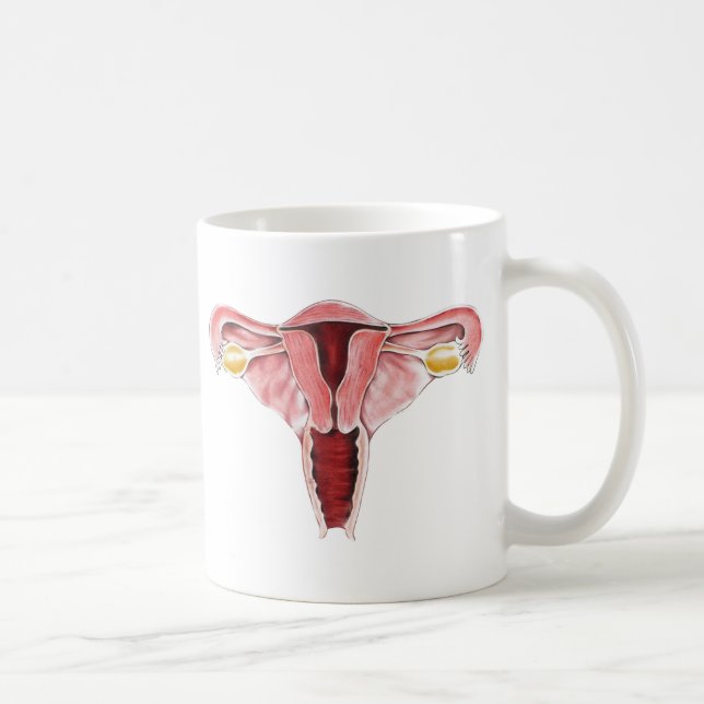 Kvinnlig reproduktiv systemmugg kaffemugg (Höger)