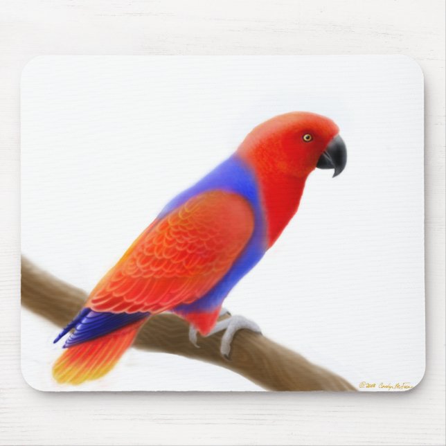 Kvinnlig röd Eclectus papegoja Mousepad Musmatta (Framsidan)