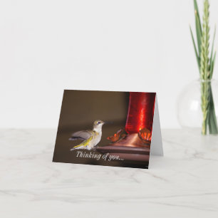 Kvinnlig Ruby-trottad hummingbird- tanke på dig Kort