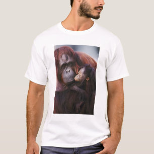 Kvinnlig Sumatra-orangutang med unge, Pongo Tröja