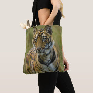 Kvinnlig tiger för Mirchaini unge (Bandhavgarh, Tygkasse