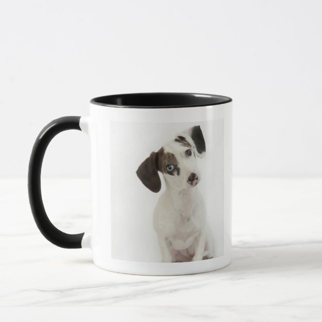 Kvinnlig valp för tax/för Chihuahua Mugg (Vänster)