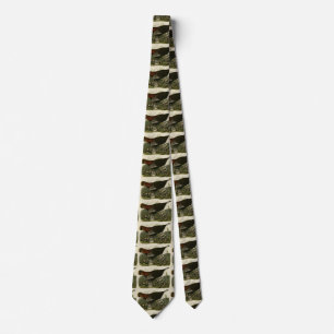 Kvinnlig Vild Turkiet från Audubon's Birds of Amer Slips