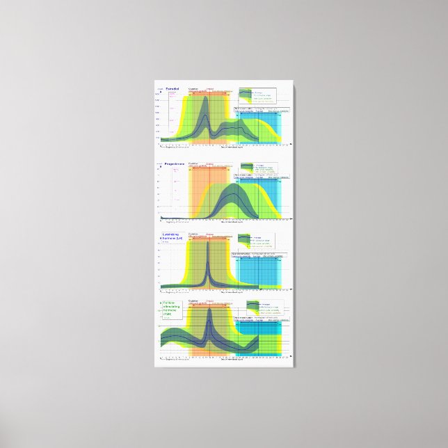 Kvinnliga hormoner reglerar menstruationscykeldiag canvastryck (Framsida)