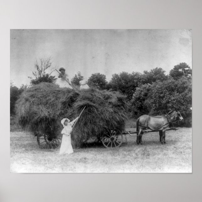 Kvinnliga jordbrukare Poster (Framsidan)