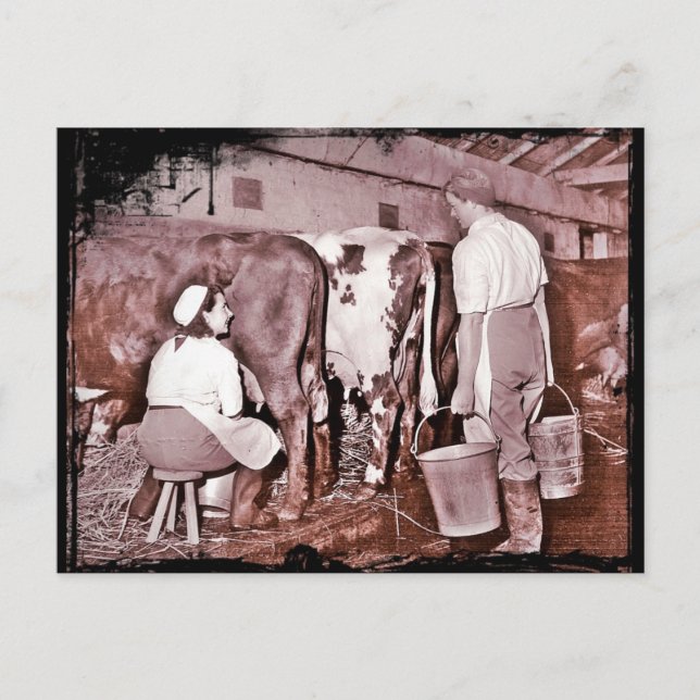 Kvinnliga markarmén mejeri andra världskriget vykort (Framsida)