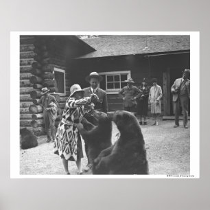 Kvinnliga matande björnar. poster