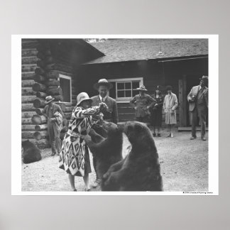 Kvinnliga matande björnar. poster