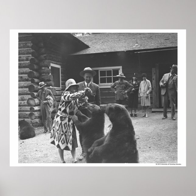 Kvinnliga matande björnar. poster (Framsidan)