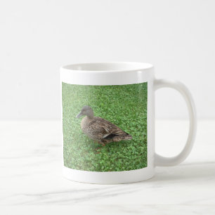 Kvinnligt foto för gräsandanka kaffemugg