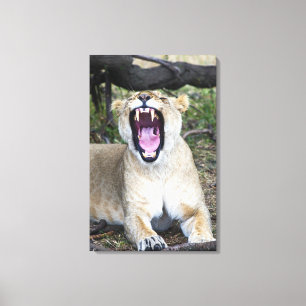 Kvinnligt lejont (pantheraen leo), MasaiMara Canvastryck