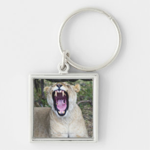 Kvinnligt lejont (pantheraen leo), MasaiMara Fyrkantig Silverfärgad Nyckelring