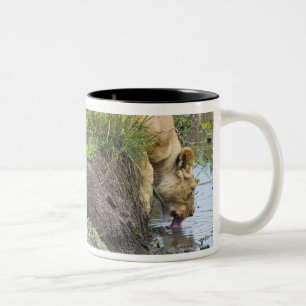 Kvinnligt lejont (pantheraen leo), MasaiMara Två-Tonad Mugg