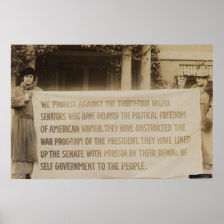 Kvinnobanderoll i Washington D.C. 1918 Poster