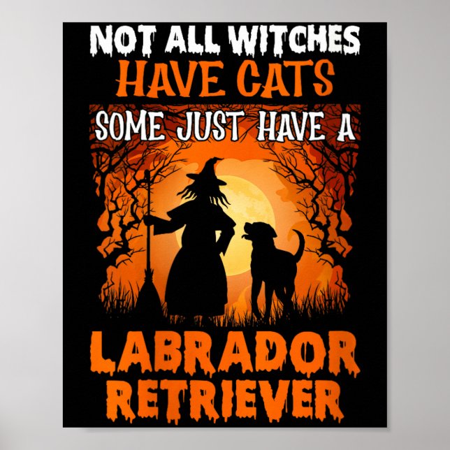 Kvinnor är inte häxor har katter vissa har en labr poster (Framsidan)