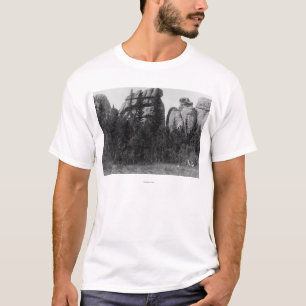 Kvinnor av sjön Harney nå en höjdpunkt framme T-shirt