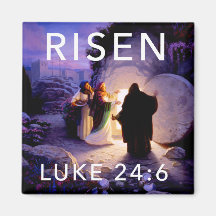 Kvinnor i det tomma kylskåpet Grav