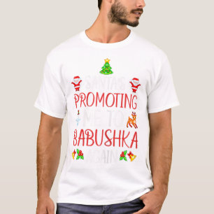 Kvinnor i jultomten befordrar mig Babushka Ag T Shirt