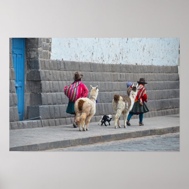 Kvinnor och alpackor, Cusco, Peru Poster (Framsidan)