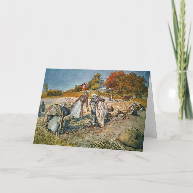 Kvinnor som Gräver potatis Kort (Framsida)