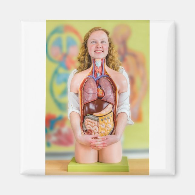 Kvinnor som håller människokroppen med inre organ. magnet (Framsidan)