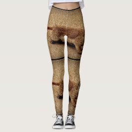 Kvinnor som lägger benen på ryggen "krypa leggings