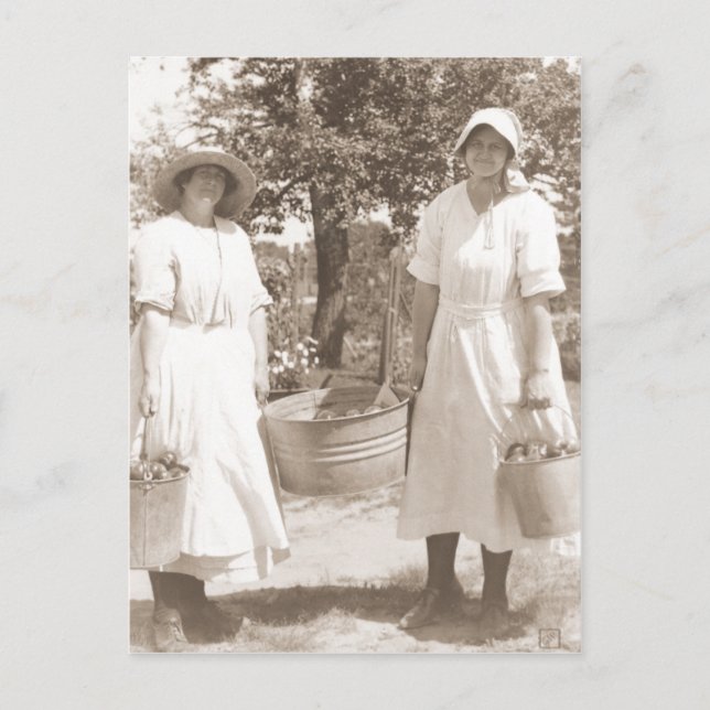 Kvinnor som plockar äpplen vykort (Framsida)