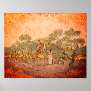 Kvinnor som plockar oliver av van Gogh: Poster