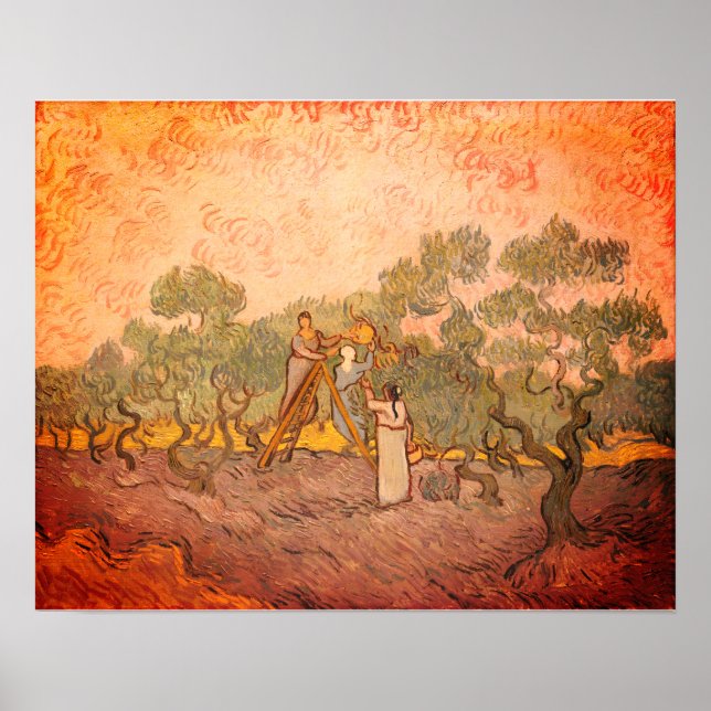 Kvinnor som plockar oliver av van Gogh: Poster (Framsidan)