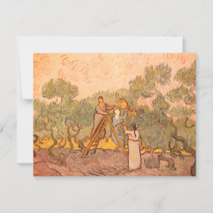 Kvinnor som plockar oliver av van Gogh: Vykort