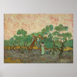 Kvinnor som plockar oliver, Van Gogh Poster