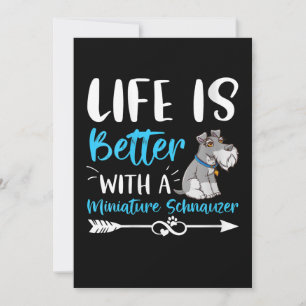 Kvinnornas fina liv med Schnauzer är bättre med Mi Meddelande