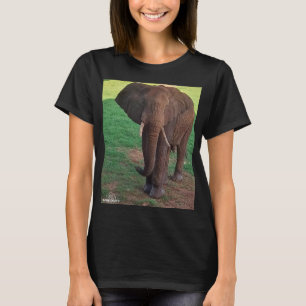Kvinnors Basic T-Shirt – Afrikansk Elefantporträtt