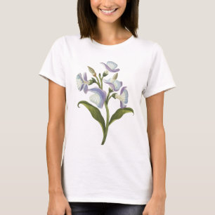 Kvinnors grundläggande T-Shirt