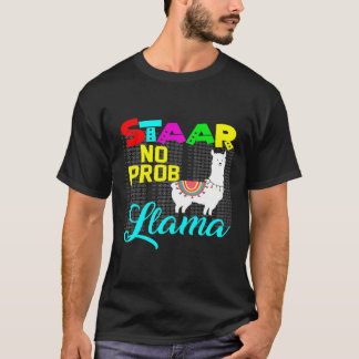Kvinnors Staar Testdag Inga Prob Llama Lärare Exam T Shirt