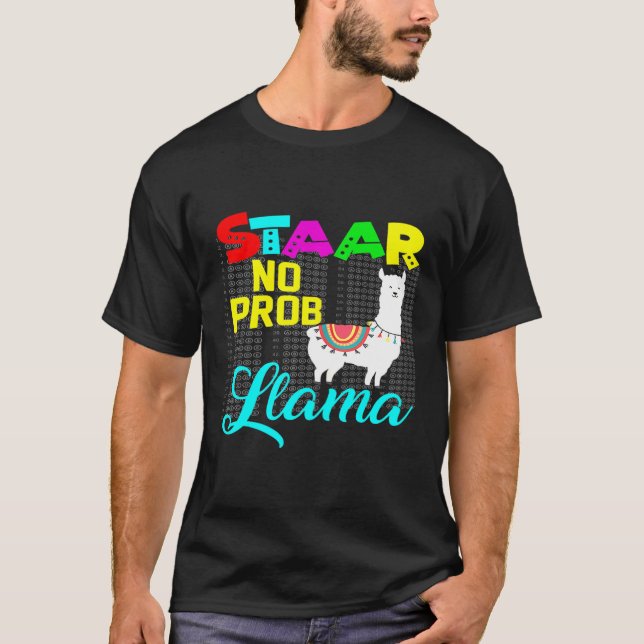 Kvinnors Staar Testdag Inga Prob Llama Lärare Exam T Shirt (Framsida)