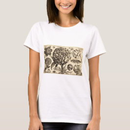Kvinnors Wenceslas Hollar Peony T-Shirt