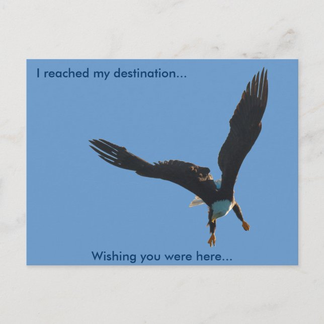 Kvitörneflygningens samling II Vykort (Framsida)