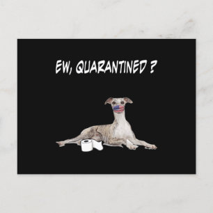 Kvitton Hund Ew Quarantated Hund Wearing A Ansikte Helg Vykort