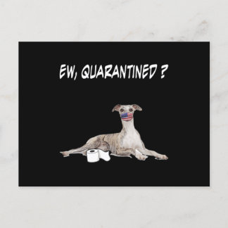 Kvitton Hund Ew Quarantated Hund Wearing A Ansikte Helg Vykort