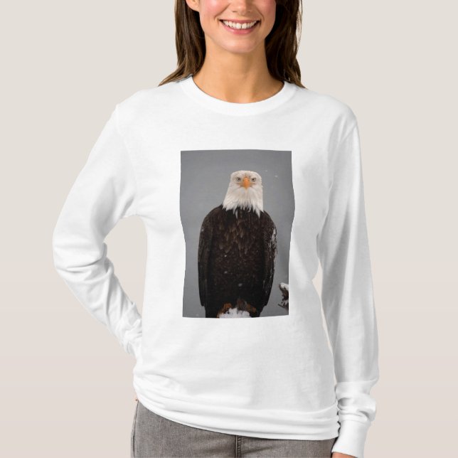 Kvitvingad Örn Porträtt i Snö, Haliaeetus Tee Shirt (Framsida)
