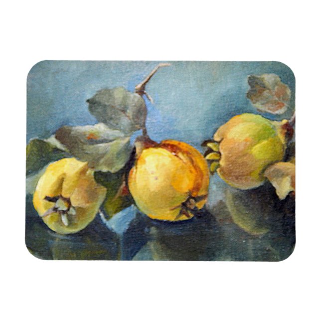 Kvoter 2011 magnet (Horisontell)