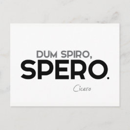 KVOTER: Cicero: Dum spiro, spero Vykort
