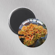 Kyckling av Skogen-Mushroom Botanical